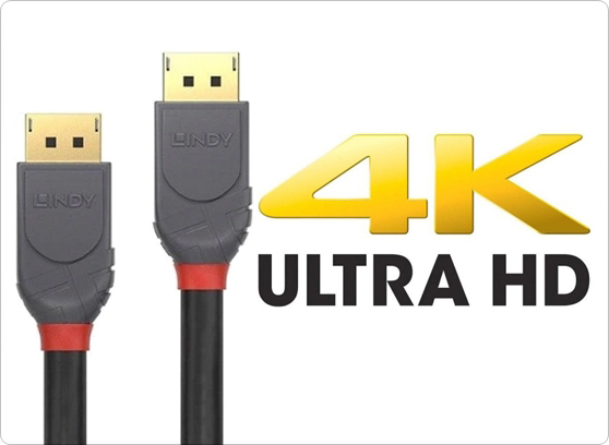 Lindy Anthra Line 3648x - cecha 2